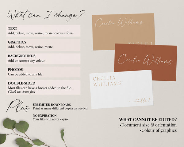 Modern Wedding Place Cards Template, Minimal Wedding Escort Cards, Printable Name Cards, Editable Wedding Seating Cards, Cecilia