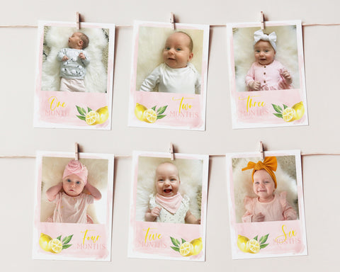 First Year Photos, 1st Birthday Milestone Photos, Baby's First Year Month Photos, Monthly Photo Banner, Birthday Decor, Lemon Birthday Pink