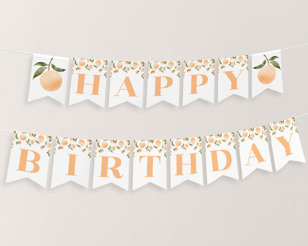 Orange Happy Birthday Banner Printable, Happy 1st Birthday Banner, 1st Birthday Decor, Orange Birthday Banner, Little Cutie Birthday Banner