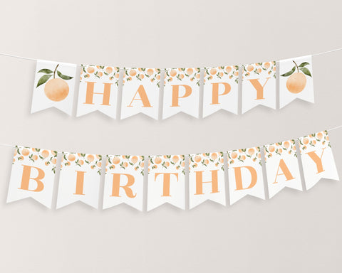 Orange Happy Birthday Banner Printable, Happy 1st Birthday Banner, 1st Birthday Decor, Orange Birthday Banner, Little Cutie Birthday Banner