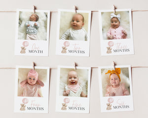 First Year Photos, Beary First Birthday Milestone Photos, Baby's First Year Month Photos, Monthly Photo Banner, Pink Bear Birthday Photos