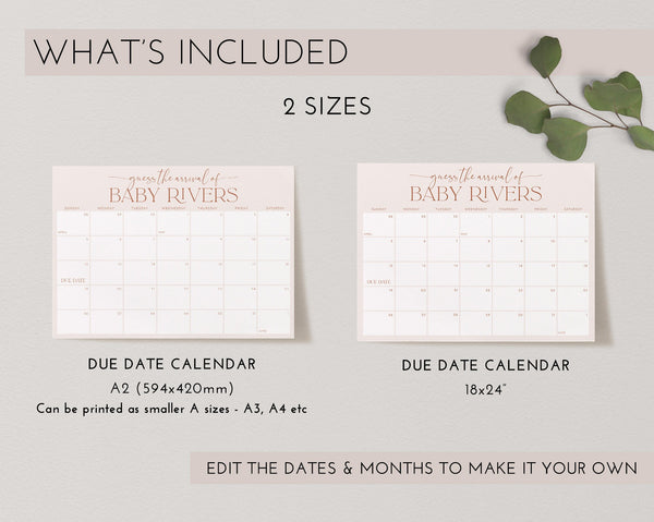 Baby Shower Due Date Calendar, Boho Baby Birth Date Sign, Guess the Arrival Date Sign, Due Date Sign, Editable Printable Baby Shower Signs