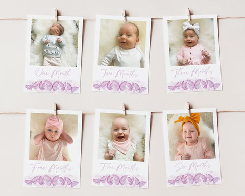 Butterfly First Year Photos, Butterfly Birthday Milestone Photos, Baby's First Year Month Photos, Monthly Photo Banner, Girls Photo Banner
