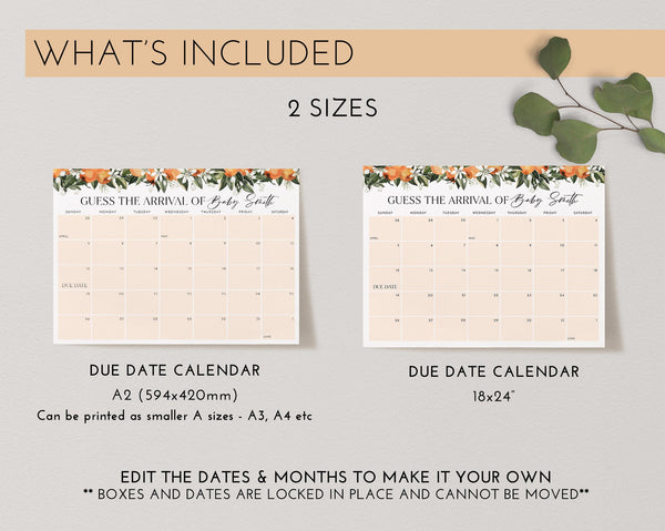 Little Cutie Baby Shower Due Date Calendar, Birth Date Sign, Baby Arrival Sign Printable, Oranges Baby Shower Due Date Sign Citrus Cutie