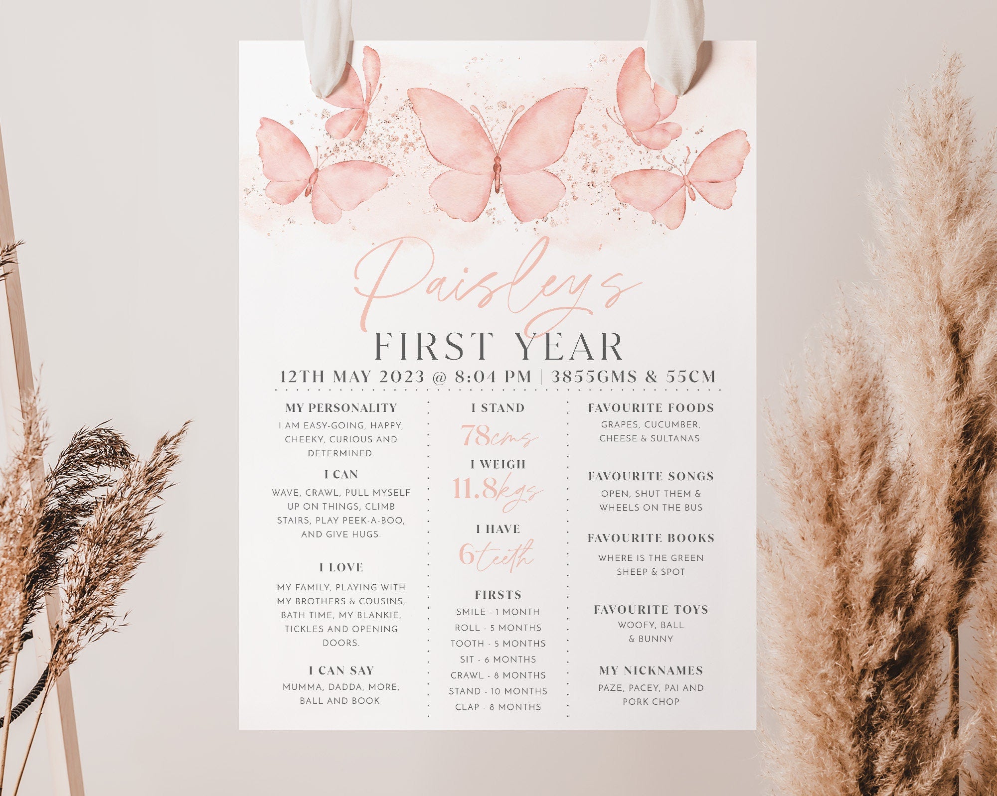 First Birthday Milestone Board Template, Peach Butterfly Milestone Board, Baby Milestone Sign, Butterfly Milestone Poster, 1st Birthday Girl