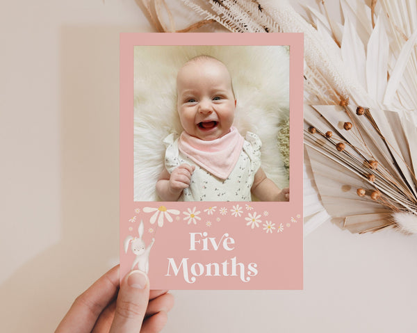 Some Bunny 12 Month Photo Banner, 1st Birthday Milestone Photos, Baby's First Year Monthly Photo Banner, 1st Birthday Decor, One Year Banner