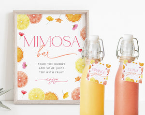 Citrus Mimosa Bar Sign, Main Squeeze Mimosa Sign, Bridal Shower Mimosa Bar Sign, Juice Labels, Mimosa and Juice Labels, Floral Mimosa Sign